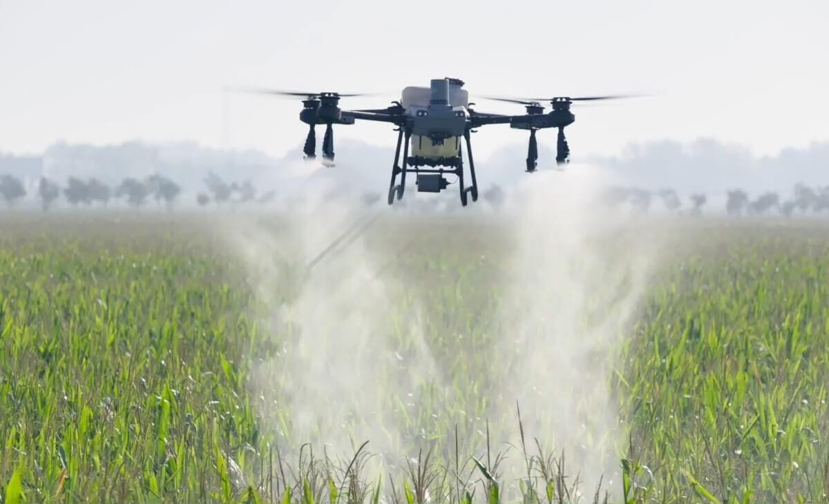 DJI Agras T50 spraying a crop field
