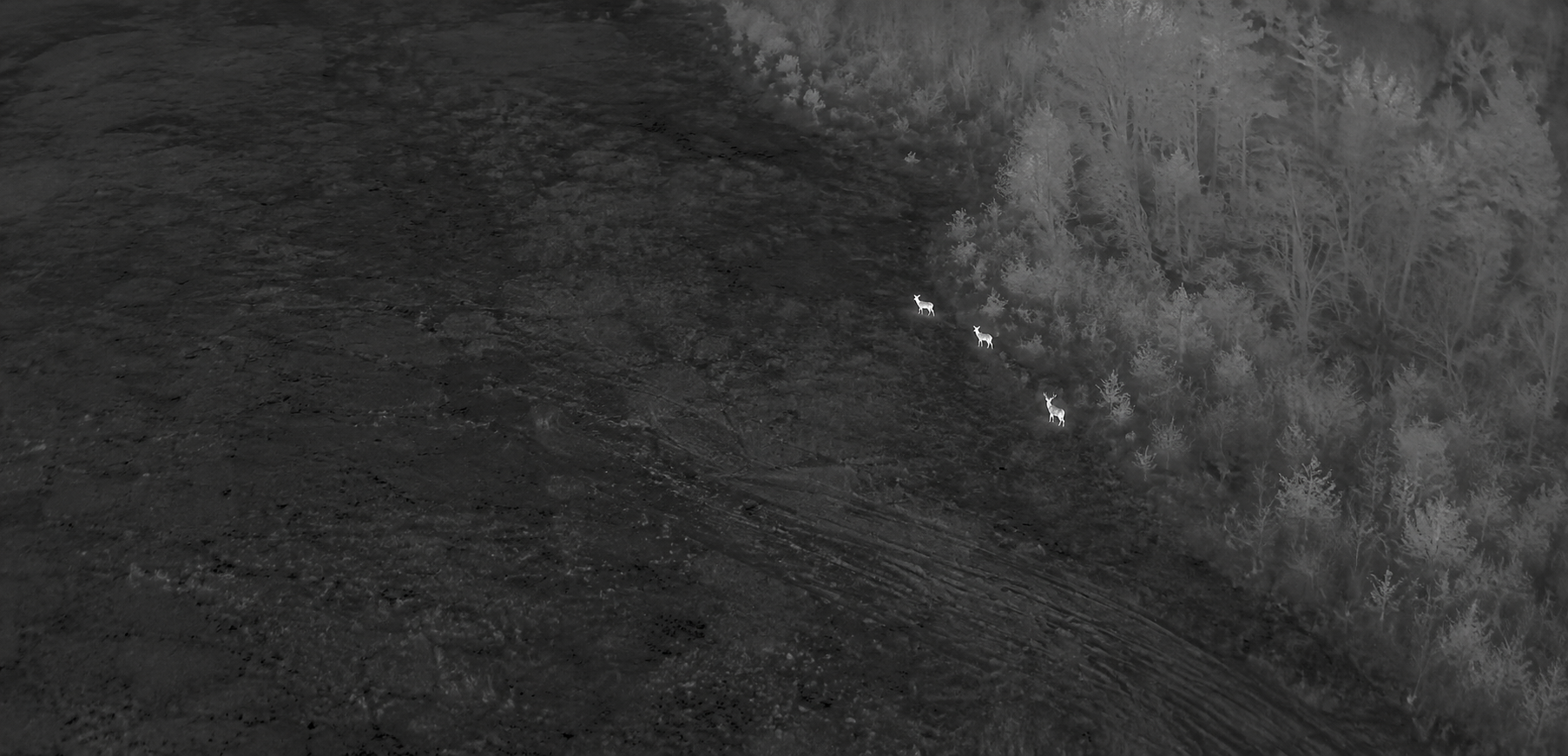 Aerial white-hot thermal image showing deer near woods